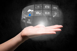 半自動化運維 基于服務器信息維護的信息系統運行服務